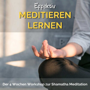 Effektiv meditieren lernen – Aufzeichnung des 4-Wochen Workshops